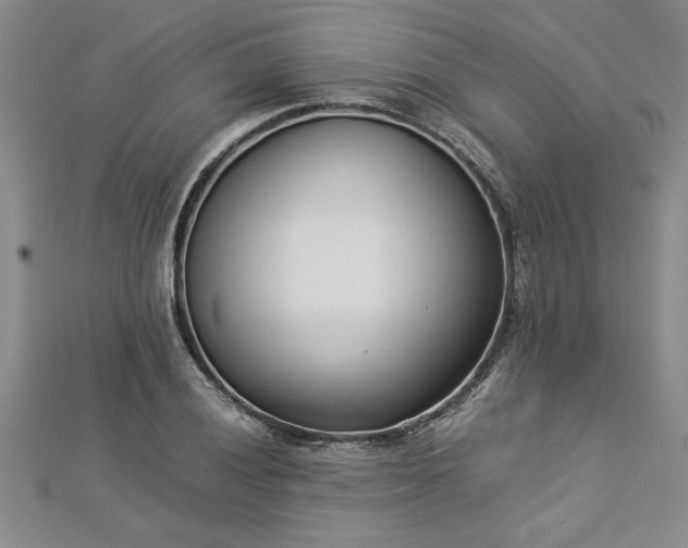 X0000112871028200908281620