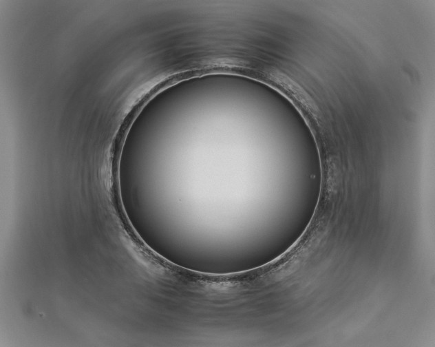 X0000112871031200908281620