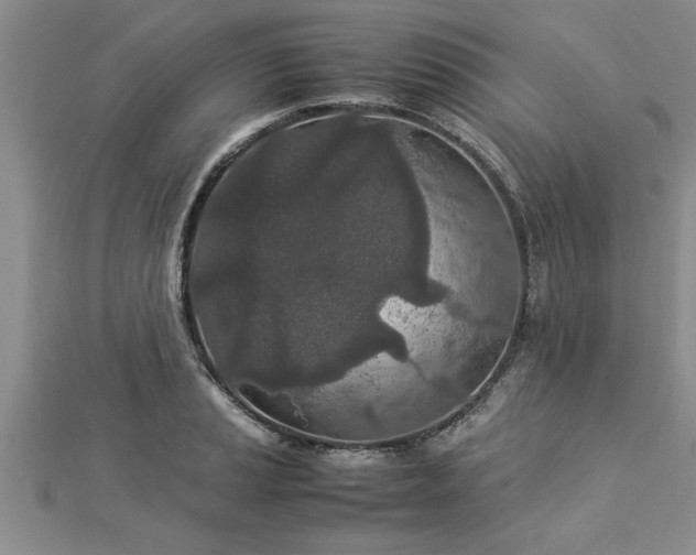 X0000112871037200908281620