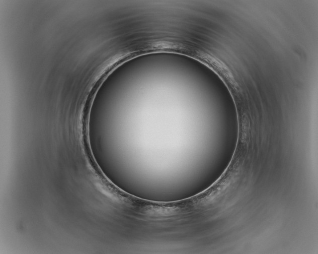 X0000112871039200908281620