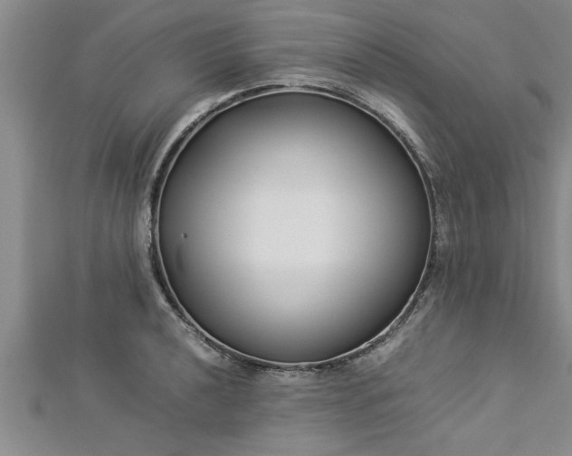 X0000112871040200908281620