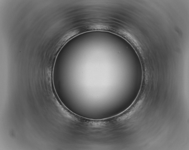 X0000112871041200908281620