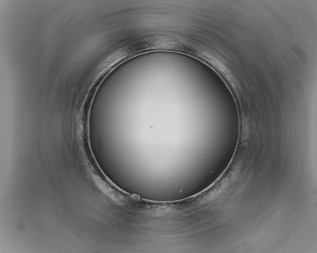 X0000112871042200908281620