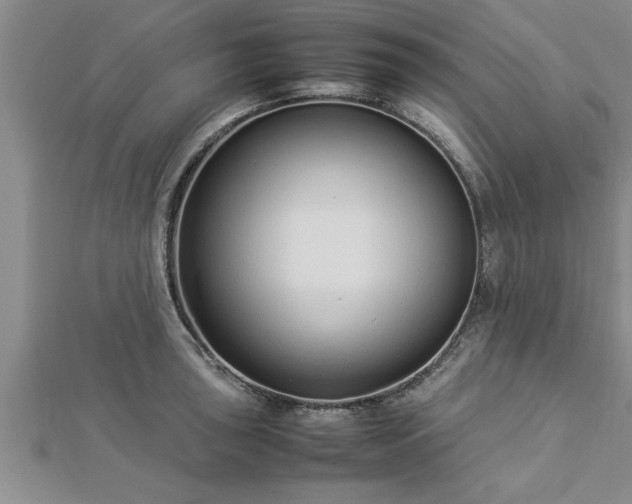 X0000112871043200908281620