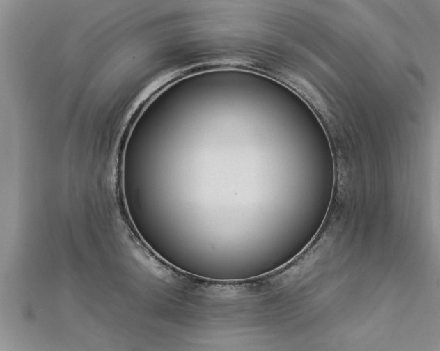 X0000112871044200908281620