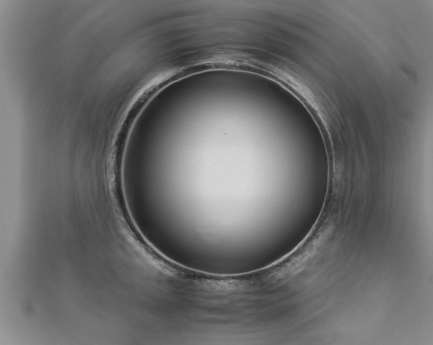 X0000112871045200908281620