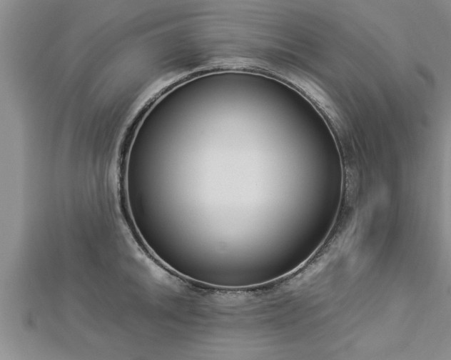 X0000112871046200908281620