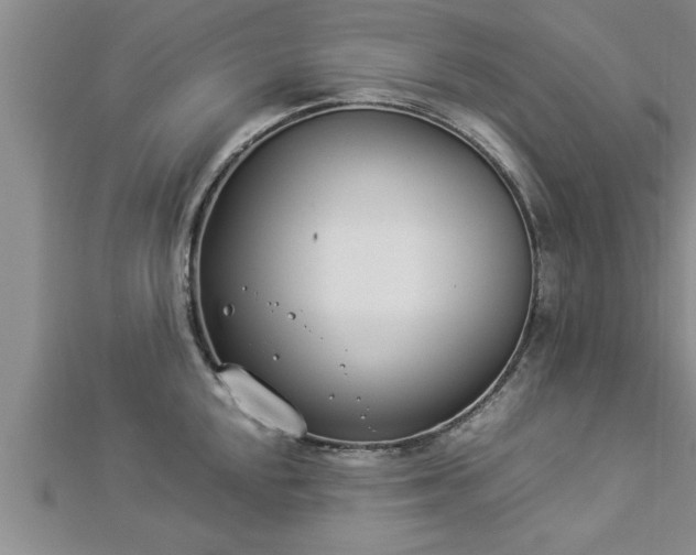 X0000112871048200908281620