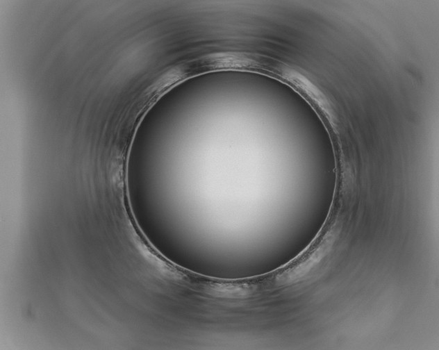 X0000112871049200908281620