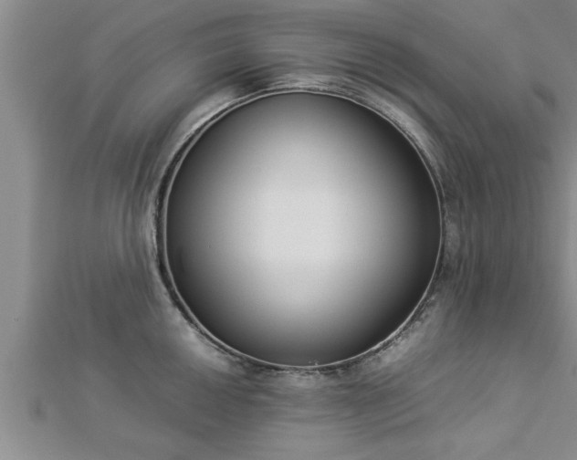 X0000112871050200908281620