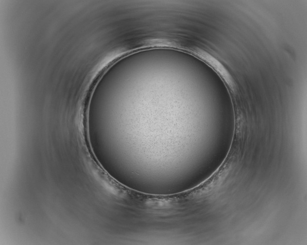 X0000112871051200908281620