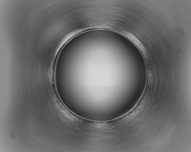 X0000112871052200908281620