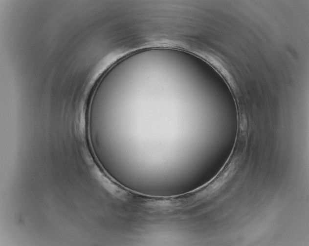 X0000112871054200908281620