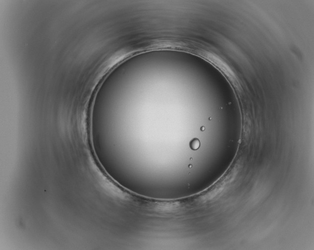 X0000112871055200908281620