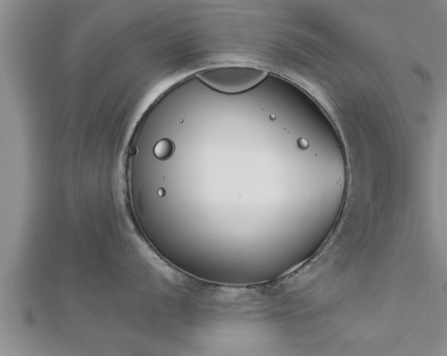 X0000112871056200908281620