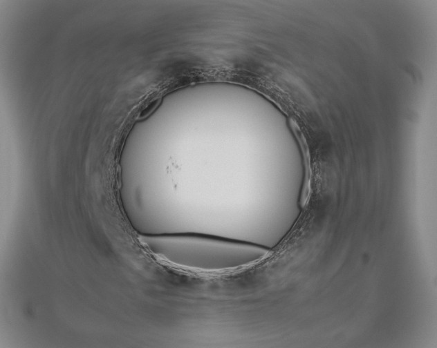 X0000112871057200908281620