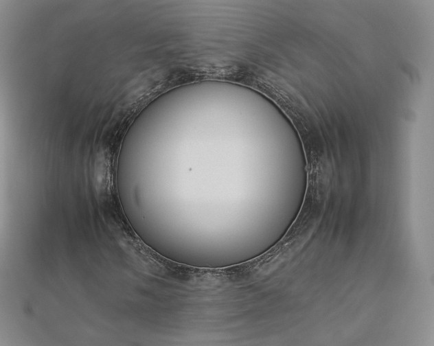 X0000112871058200908281620