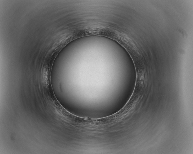 X0000112871060200908281620