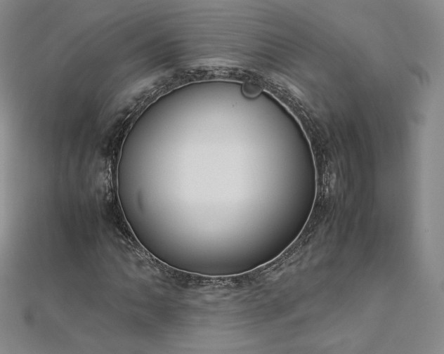 X0000112871062200908281620