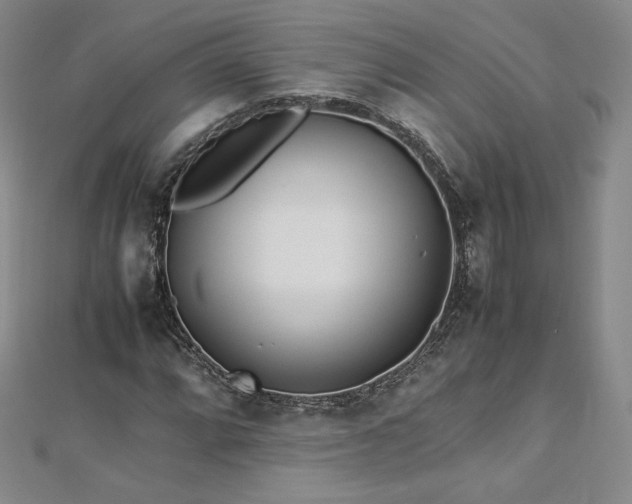 X0000112871064200908281620