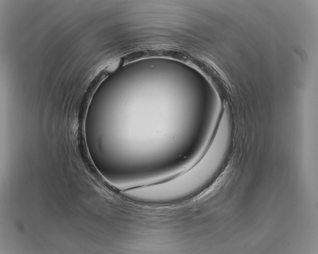 X0000112871065200908281620