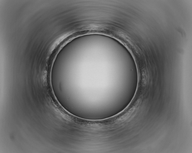 X0000112871066200908281620