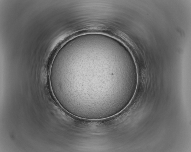 X0000112871067200908281620