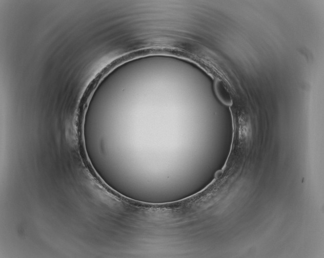 X0000112871068200908281620