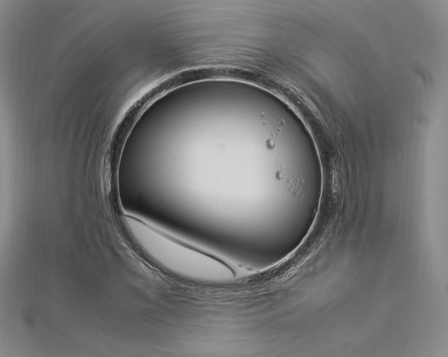 X0000112871069200908281620