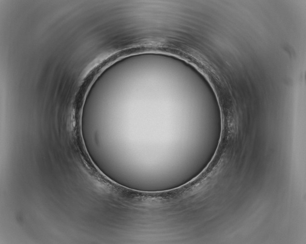 X0000112871070200908281620