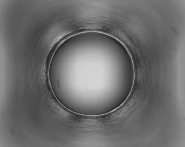 X0000112871071200908281620