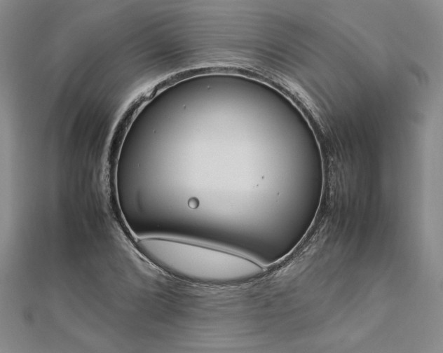 X0000112871072200908281620