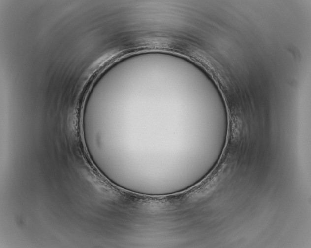 X0000112871074200908281620