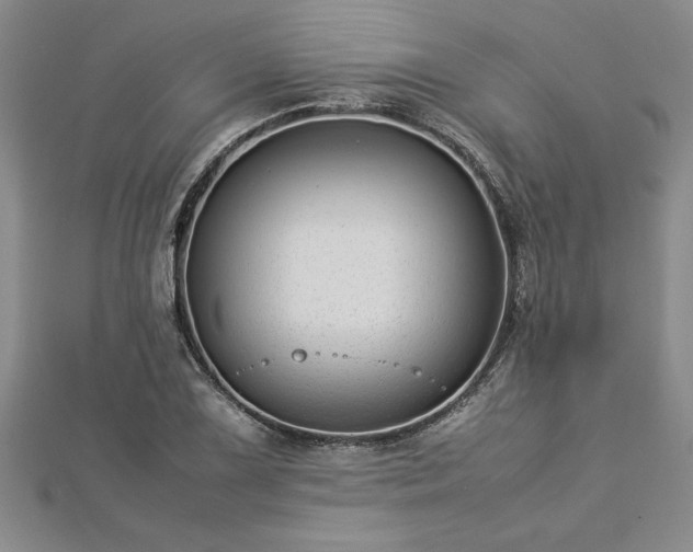 X0000112871075200908281620