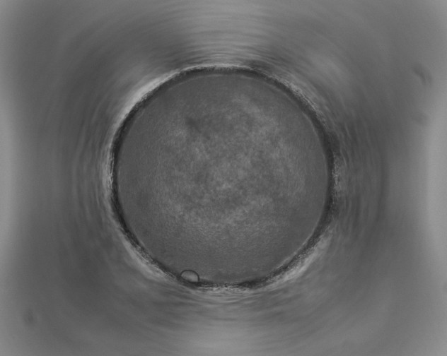 X0000112871077200908281620