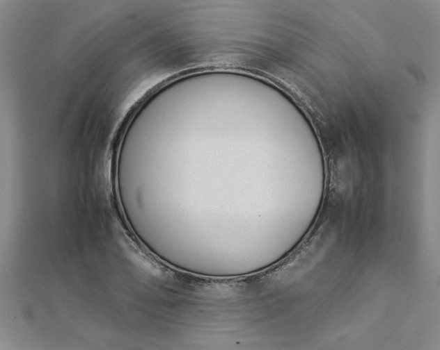 X0000112871078200908281620