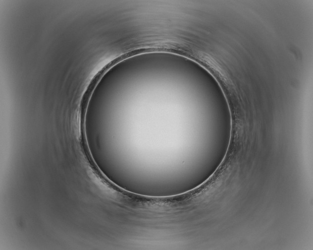 X0000112871079200908281620