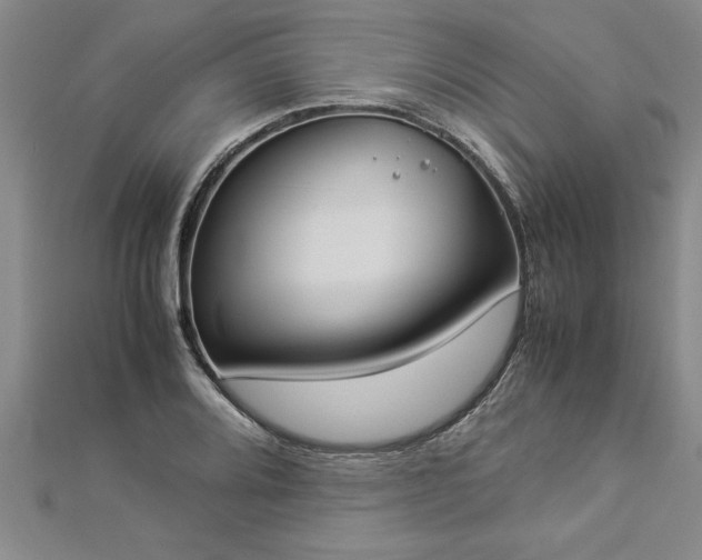 X0000112871080200908281620