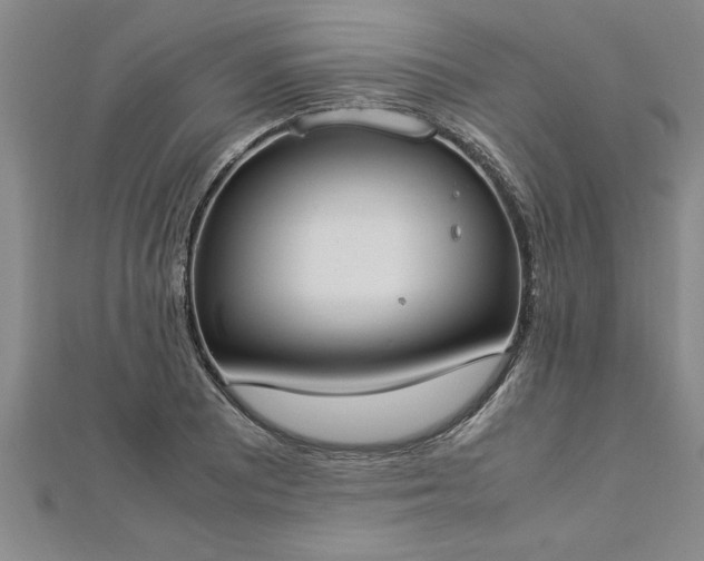 X0000112871081200908281620