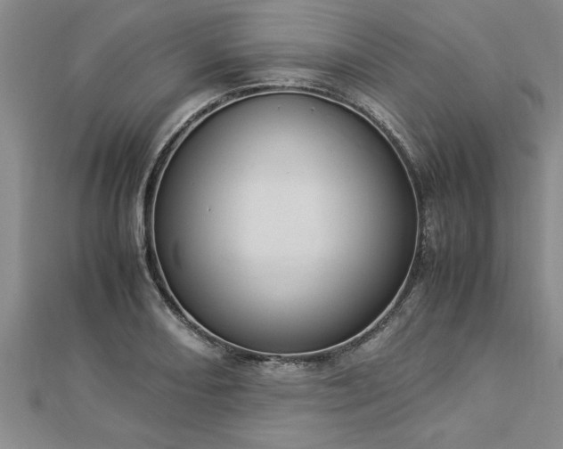 X0000112871082200908281620