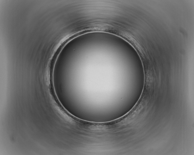 X0000112871083200908281620