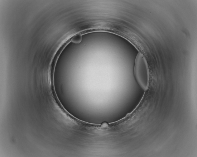 X0000112871084200908281619