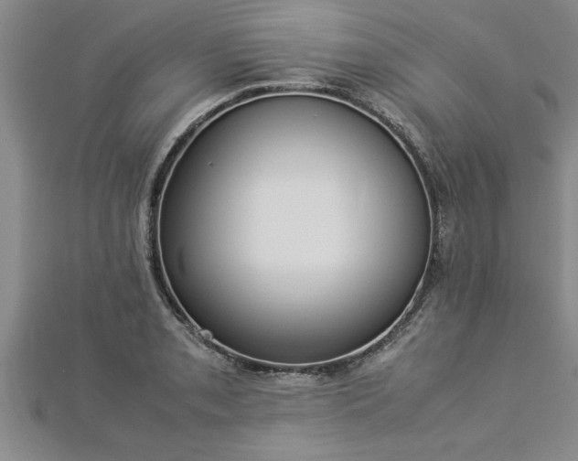 X0000112871085200908281619