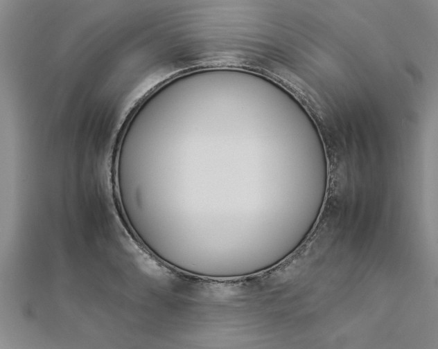 X0000112871086200908281619