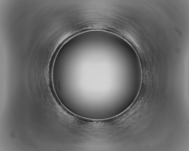 X0000112871087200908281619