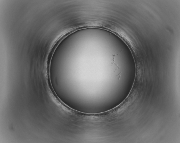 X0000112871088200908281619