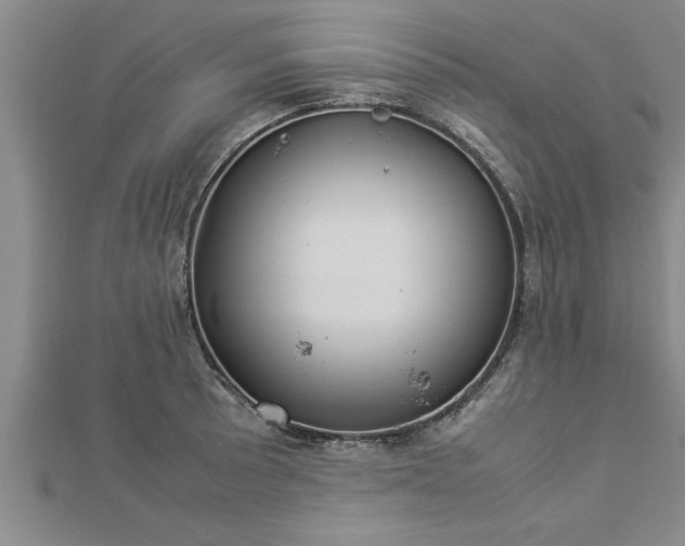 X0000112871089200908281619