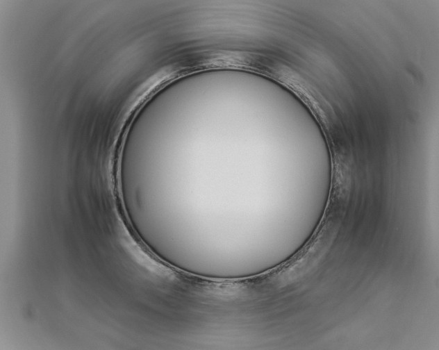 X0000112871090200908281619