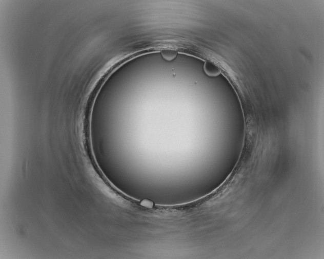 X0000112871091200908281619