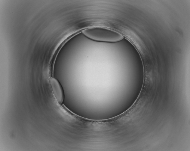 X0000112871092200908281619